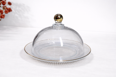 مضيفة ( تمرية ) زجاج شفاف