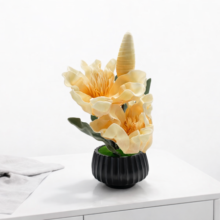 زهرة اللوتس - لون خوخي فاتح