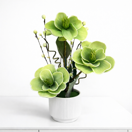 وردة هيلبور (Hellebore) - لون أخضر