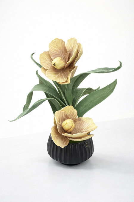 أوركيد - لون بيج ذهبي