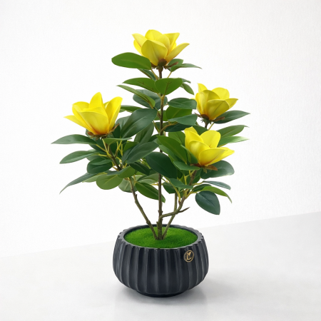 وردة ماغنوليا - لون أصفر