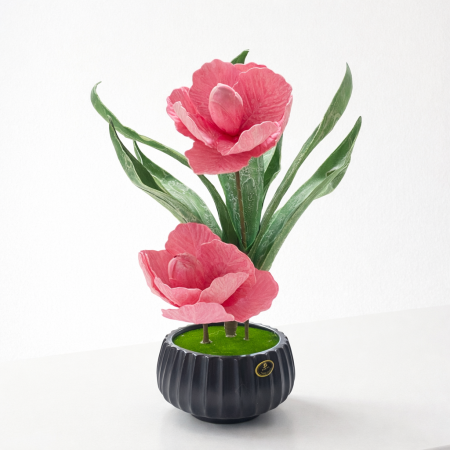 وردة بيوني (فاوانيا) - لون وردي غامق