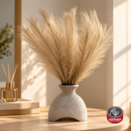 بيج